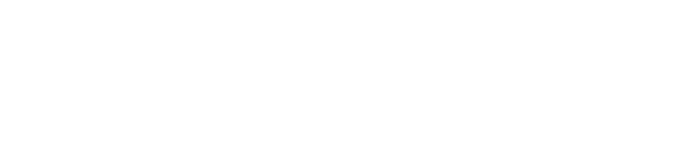 Dream Capture Holidays